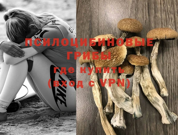 ECSTASY Козловка